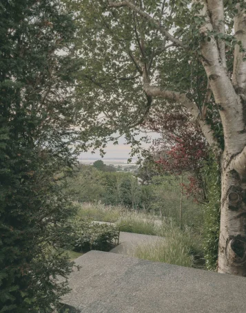 23-08 Private House in Ireland-ALWA_Simon Menges_20.jpg