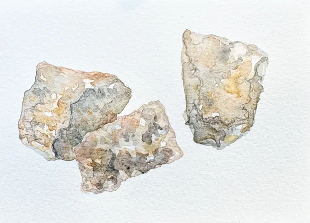 Living in a landscape